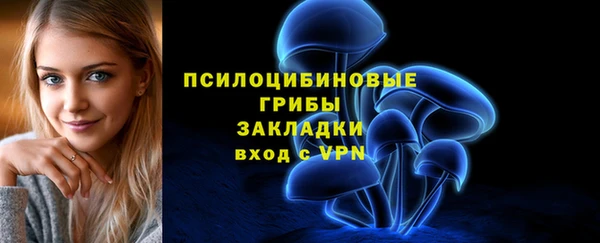 дживик Вязники