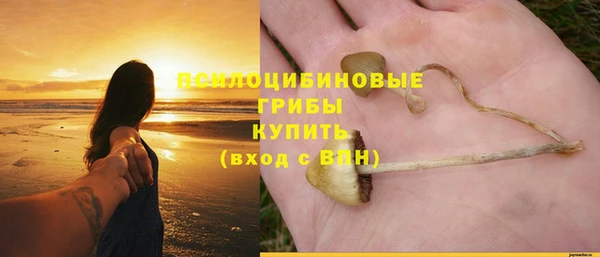 дурь Вязьма